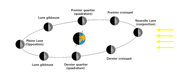 L'image représente la planète Terre et les différentes positionnement de la Lune selon les phases lunaires.The original uploader was Looxix at French Wikipedia., CC BY-SA 3.0 , via Wikimedia Commons